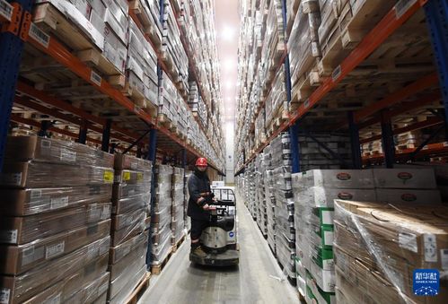 天津打造“城市冰箱”新名片，冷链物流升级助力餐桌丰富与货物高效流转